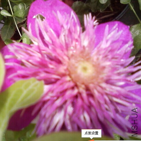 QQͼƬ20140910162121.jpg