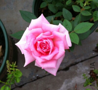 QQͼƬ20140910172317.jpg