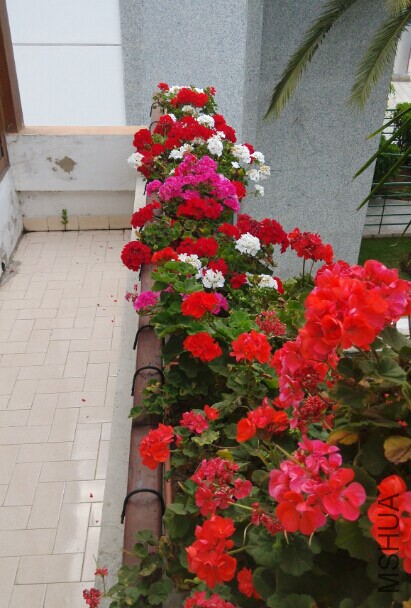QQͼƬ20140911010306.jpg