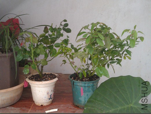 QQͼƬ20140911143257.jpg