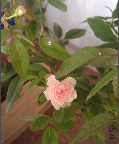 QQͼƬ20140911143339.jpg