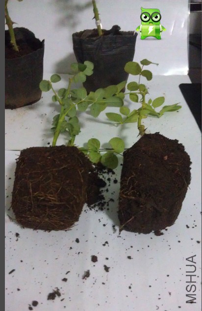 QQͼƬ20140911201231.jpg