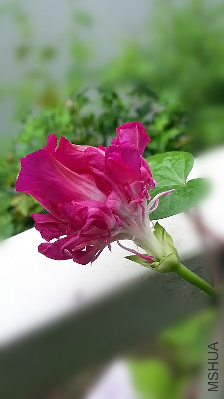 r7.jpg