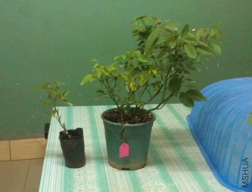 QQͼƬ20071203001454.jpg