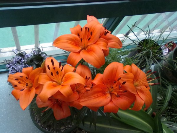 201212032184.jpg