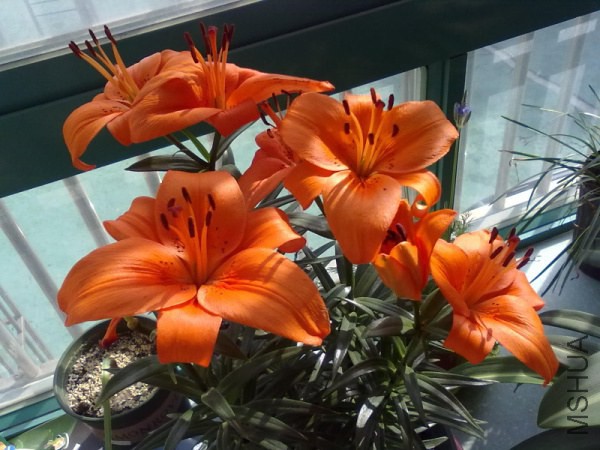 201212062194.jpg