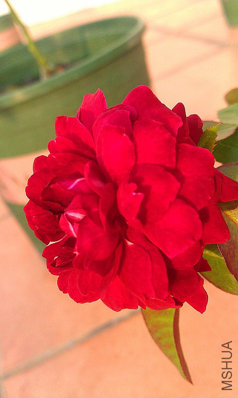 IMAG0652_����.jpg