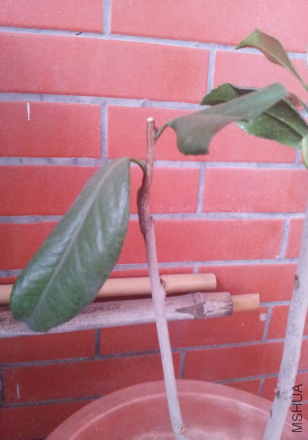 20140821_082819.jpg