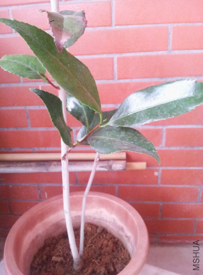 20140821_082850.jpg