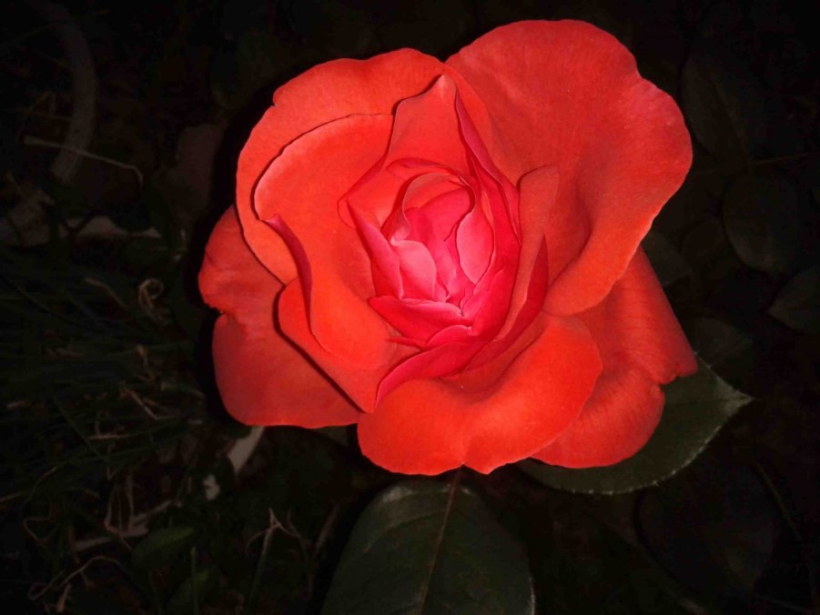 2014-05-03 18.40.59(1).jpg