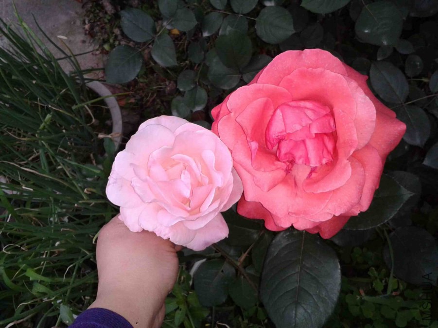 2014-05-05 18.13.08.jpg