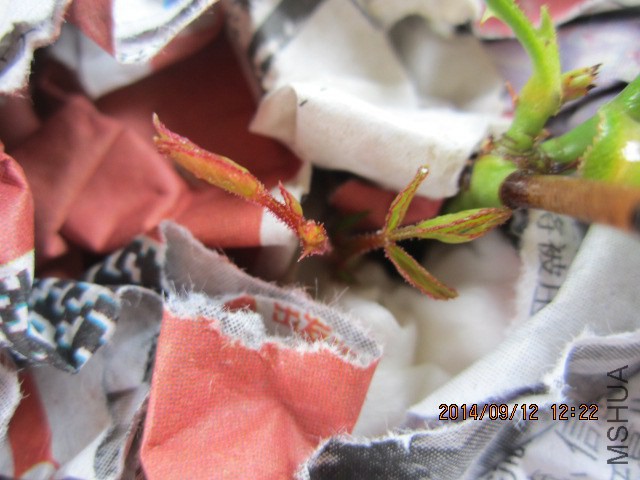 ϣ����ݲ�Ҫ����������Ū���ˣ��Ҽӱ����ˡ�