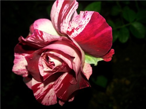 20140912_180417.jpg
