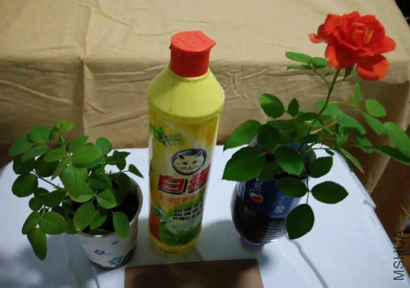 b�� ���������������������и�С����