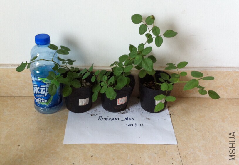Сʥ