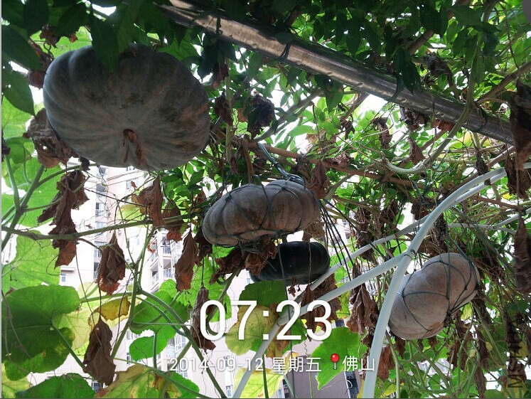 QQͼƬ20140913093906.jpg