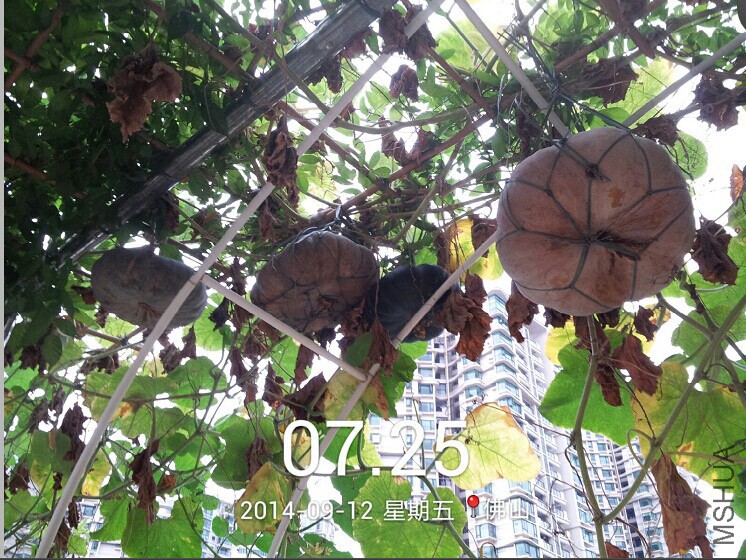 QQͼƬ20140913094018.jpg