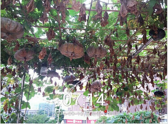 QQͼƬ20140913095135.jpg