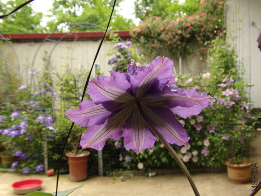 48.jpg