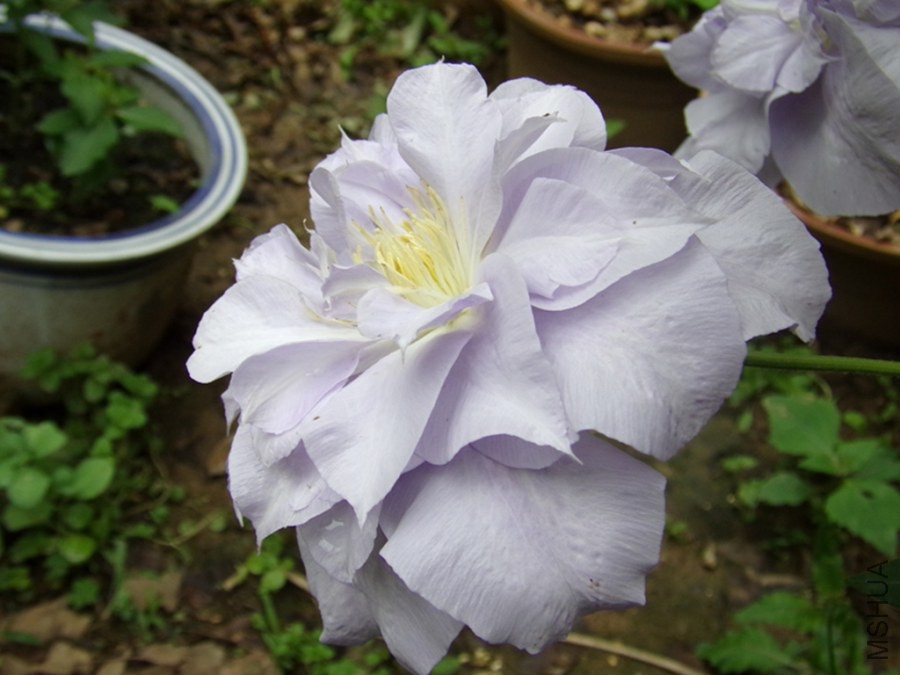 06.jpg