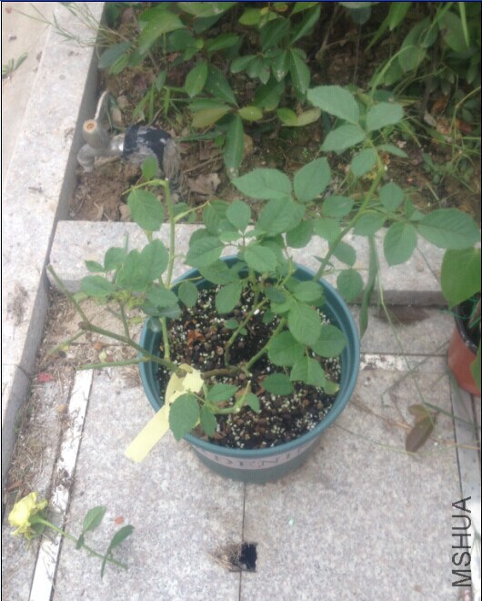 20140914160709.jpg