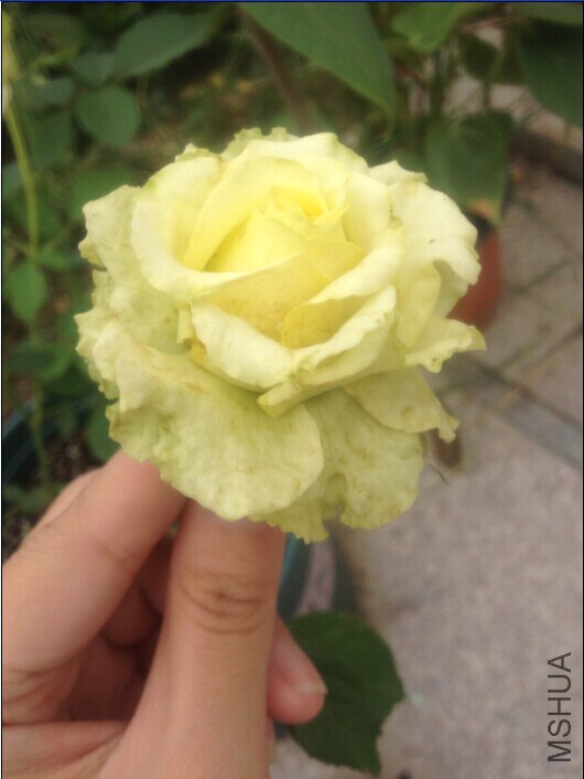 20140914160436.jpg