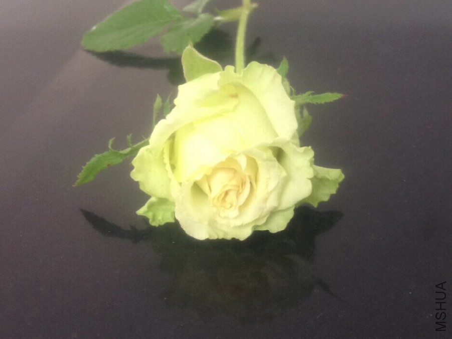 20140914160647.jpg