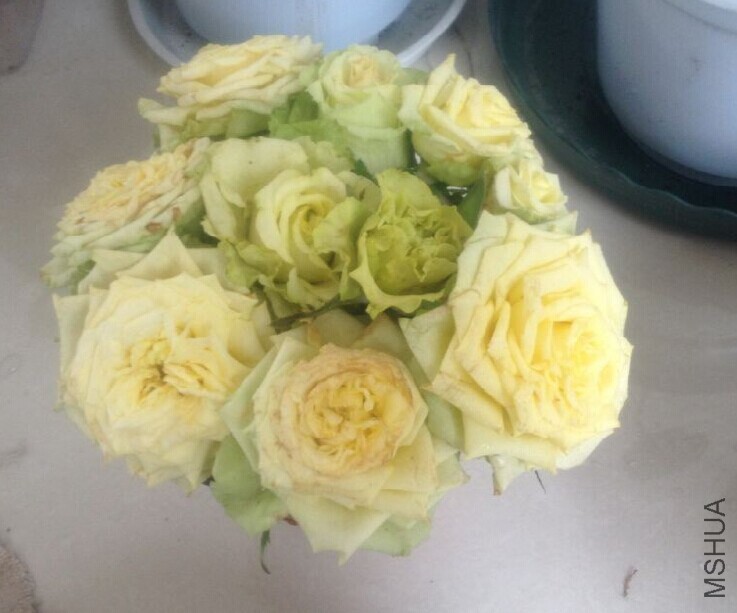 20140914160251.jpg