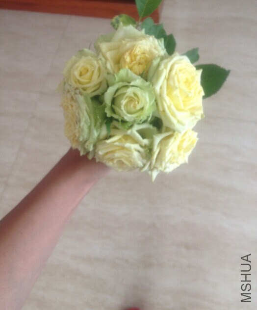 20140914160553.jpg
