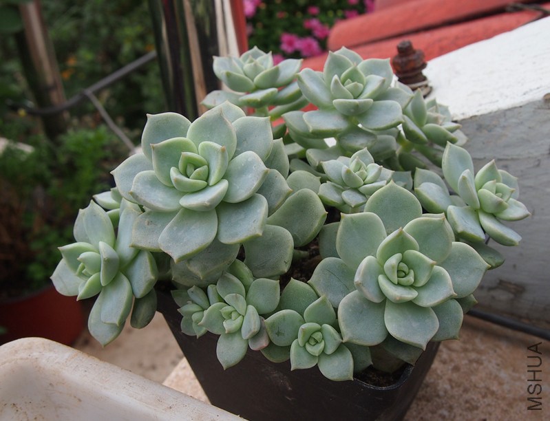 QQͼƬ20140914165202.jpg