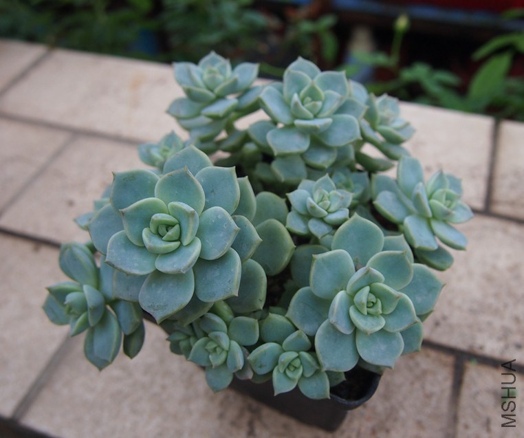 QQͼƬ20140914165332.jpg