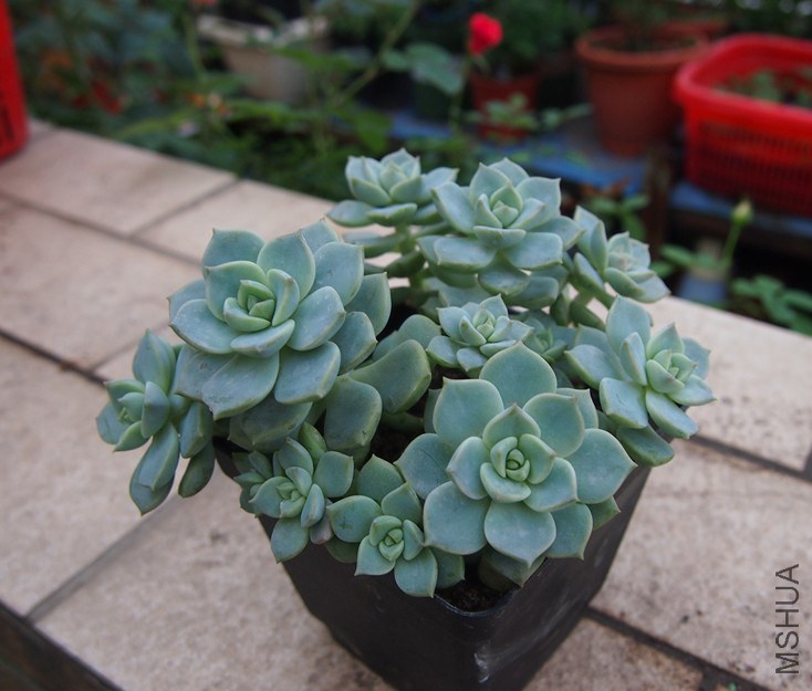 QQͼƬ20140914165336.jpg