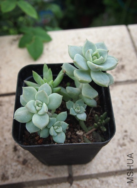 QQͼƬ20140914165058.jpg
