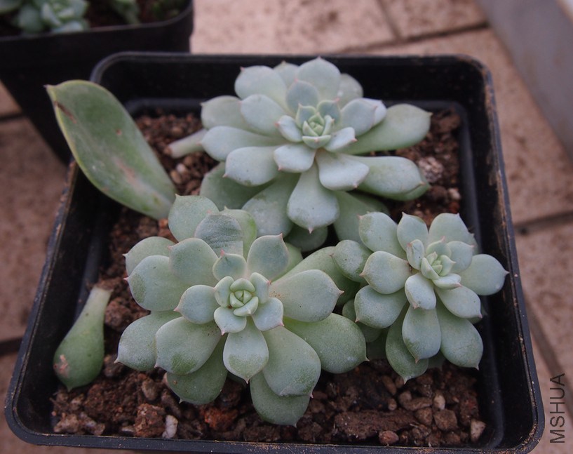 QQͼƬ20140914165117.jpg
