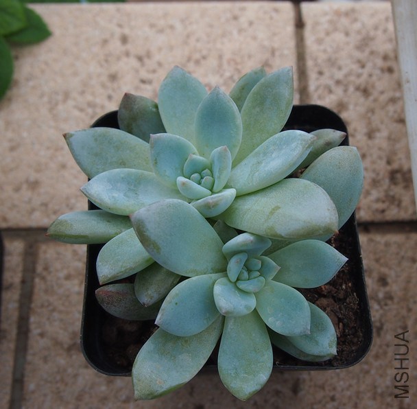 QQͼƬ20140914165123.jpg