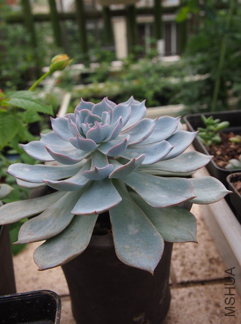 QQͼƬ20140914165134.jpg