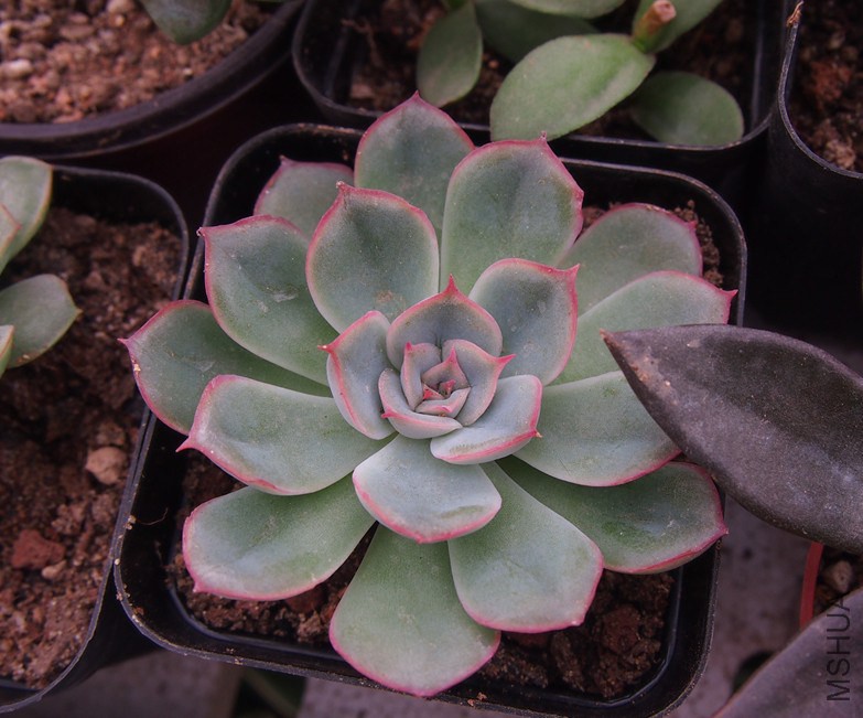 QQͼƬ20140914165140.jpg