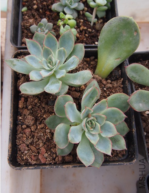 QQͼƬ20140914165149.jpg