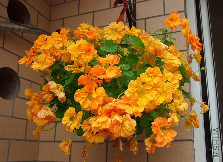 QQͼƬ20140914174221.jpg