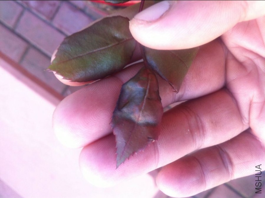 QQͼƬ20140915063218.jpg