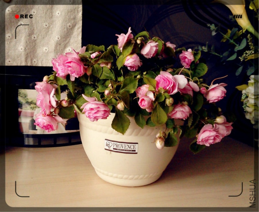 03.��ɫ���طǷ�.jpg