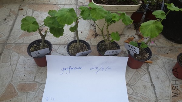 20140910_������.jpg