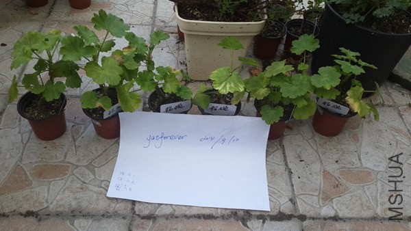 20140910_����.jpg
