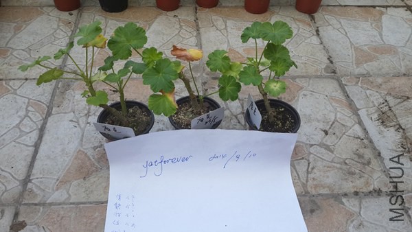 20140910_�����.jpg