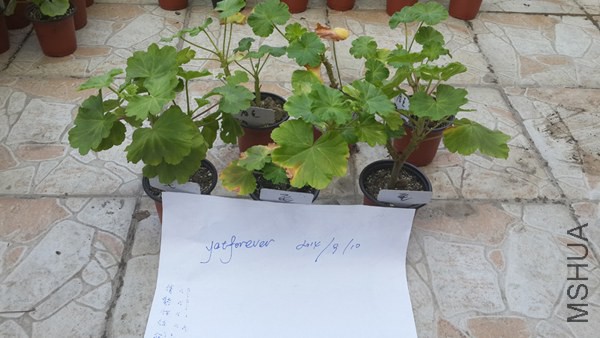20140910_������.jpg