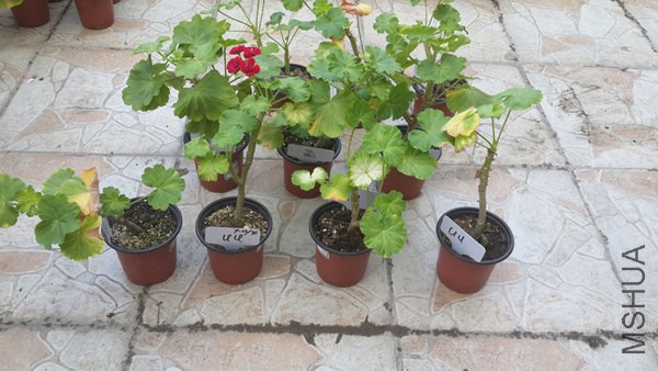 20140910_UU��.jpg