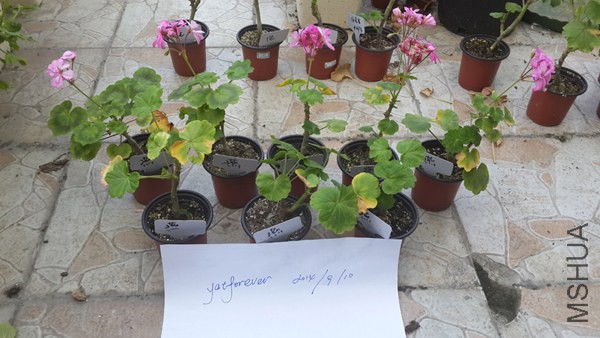 20140910_���ƽ��.jpg