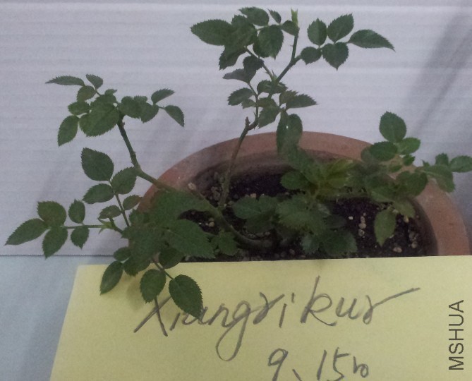 QQͼƬ20140915202857.jpg