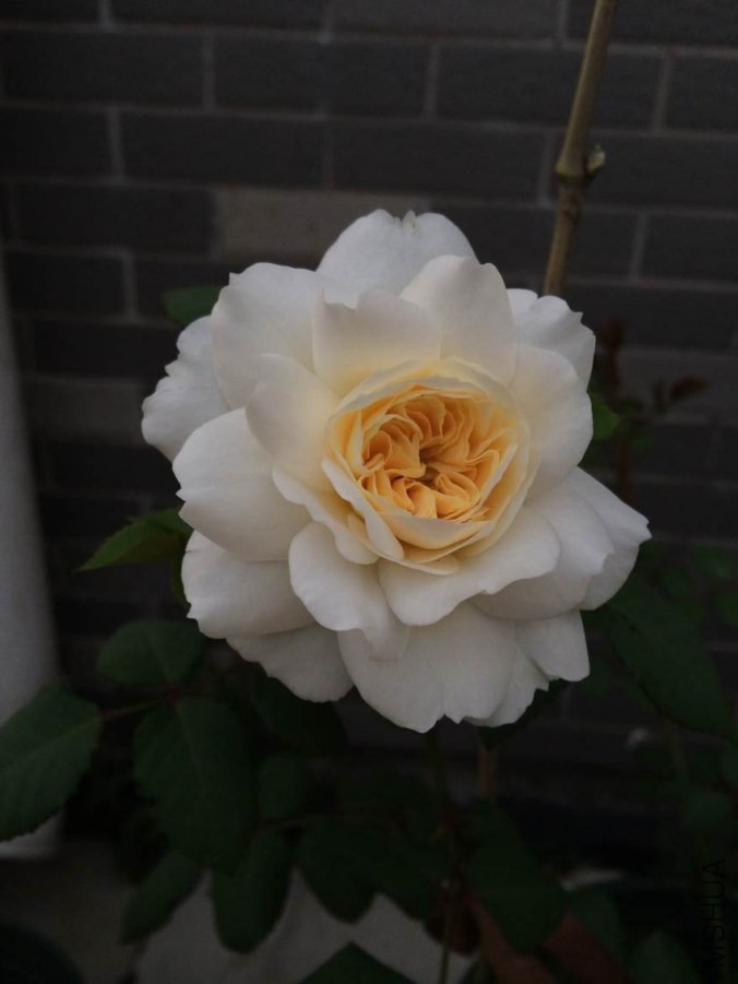 QQͼƬ20140915205056.jpg