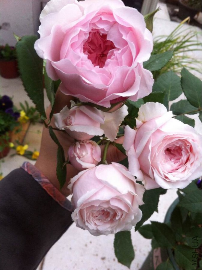 QQͼƬ20140915205304.jpg